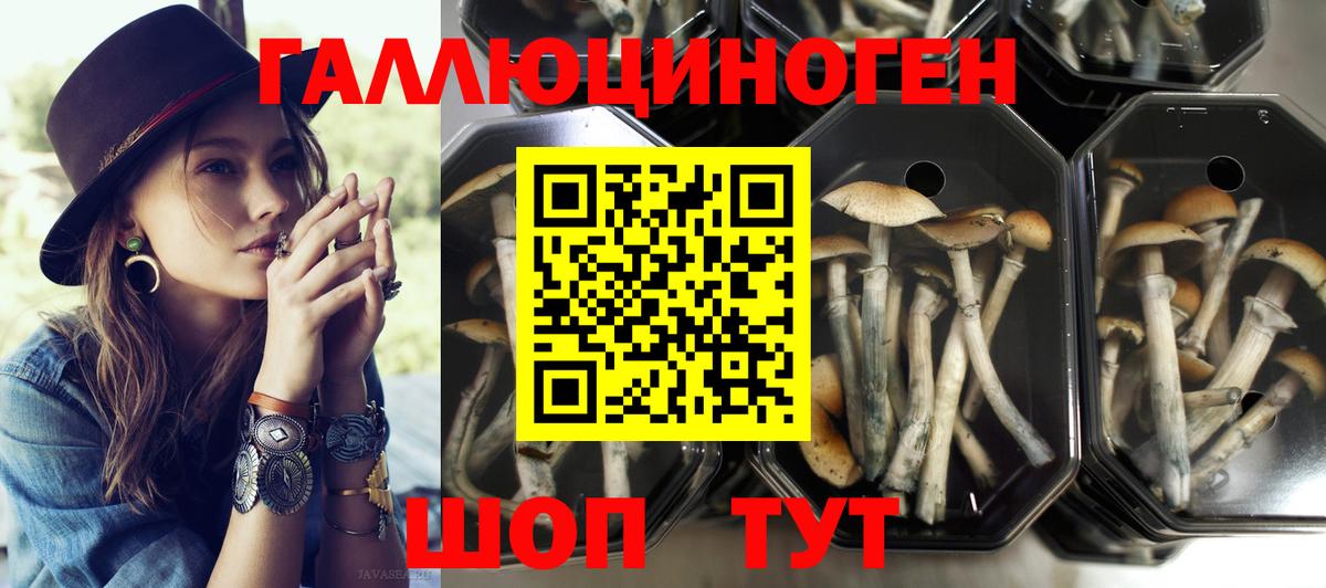 Псилоцибиновые грибы мухоморы  Вход с VPN  Галлюциногенные грибы Psilocybe  Киров 